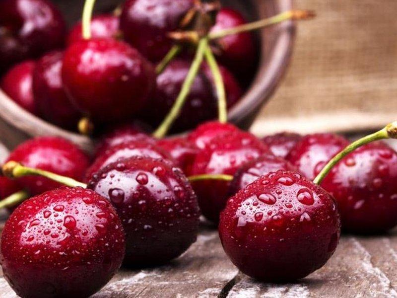 Вишня купить саженцы из питомника в Лисках