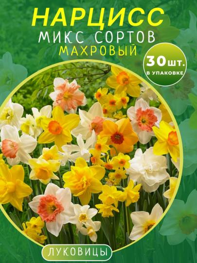 Нарцисс махровый микс 30 шт.